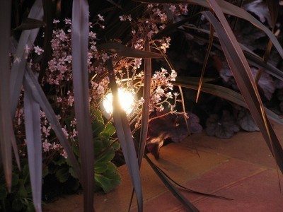花园灯光1