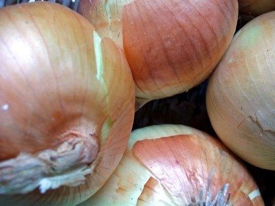 big onions