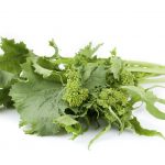 新鲜rapini