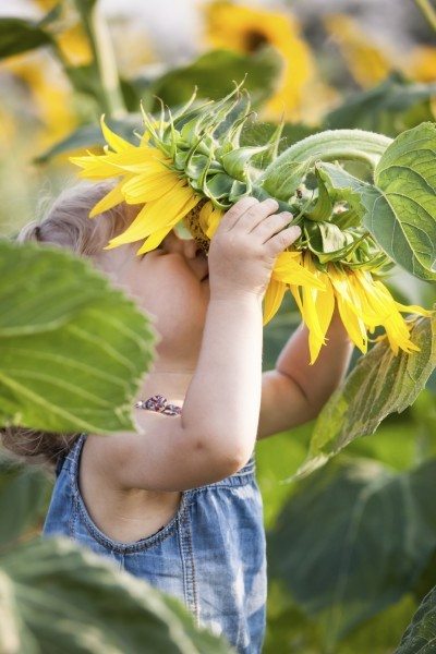 sunflower child