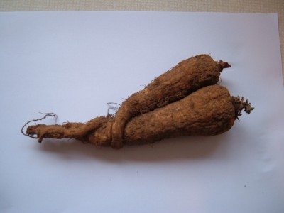 parsnips1