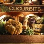 cucurbits1