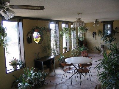 遮阳室植物1