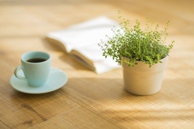 植物咖啡