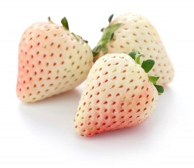 白色的草莓