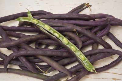 紫壳豌豆